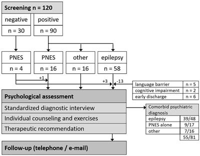 Screening for Psychiatric Comorbidities and Psychotherapeutic Assessment in Inpatient Epilepsy Care: Preliminary Results of an Implementation Study